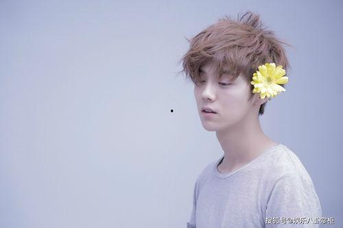 吴亦凡草粉女粉丝照片,揭秘草粉事件背后的真相